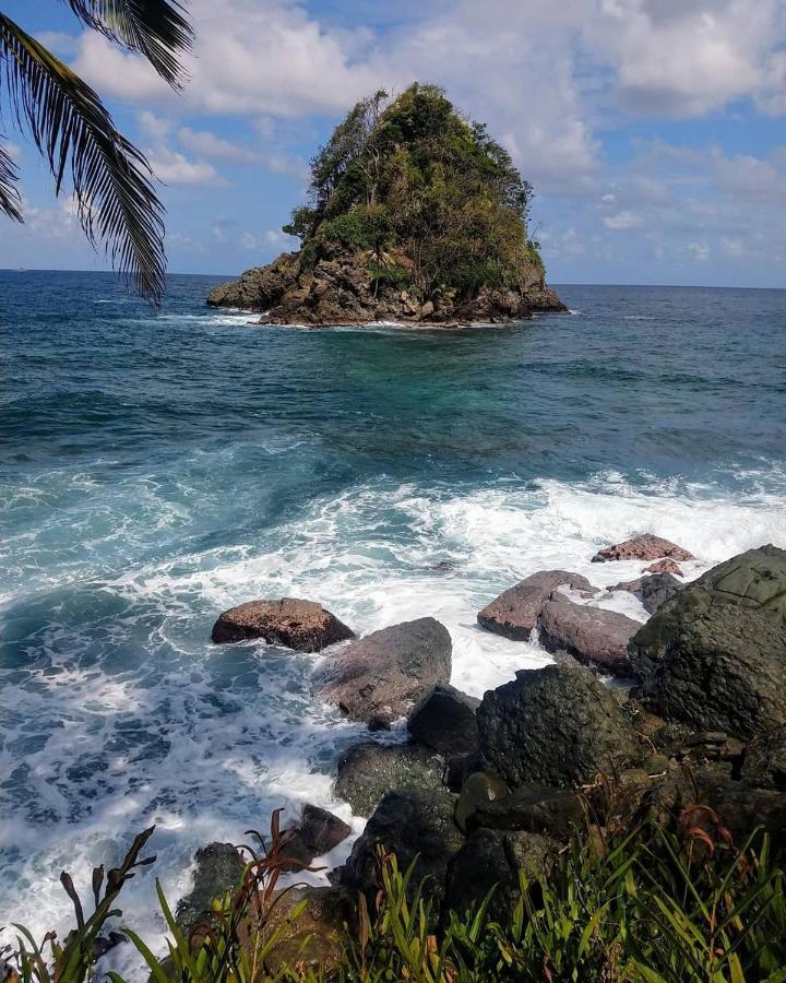 ホテル Puerta Azul Capurganá エクステリア 写真